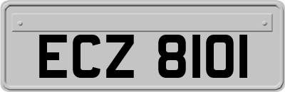 ECZ8101