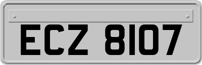 ECZ8107
