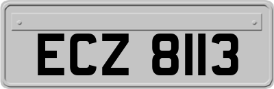 ECZ8113