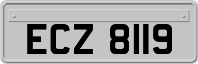 ECZ8119