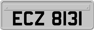 ECZ8131