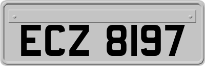 ECZ8197