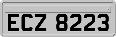 ECZ8223