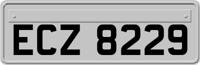 ECZ8229