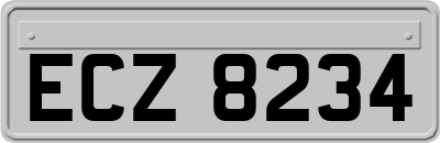 ECZ8234