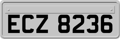 ECZ8236