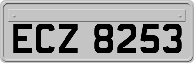 ECZ8253