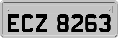ECZ8263