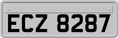 ECZ8287