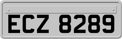 ECZ8289