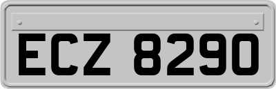 ECZ8290