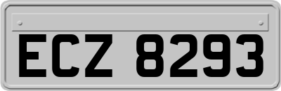 ECZ8293