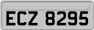 ECZ8295