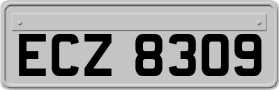 ECZ8309