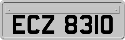 ECZ8310