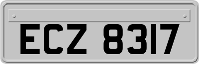 ECZ8317