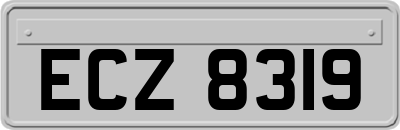 ECZ8319