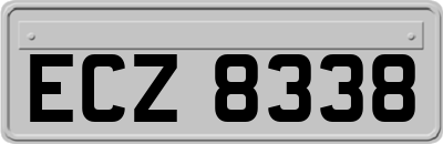 ECZ8338
