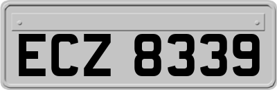 ECZ8339