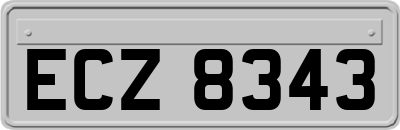 ECZ8343