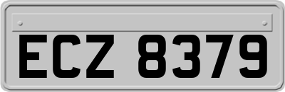 ECZ8379