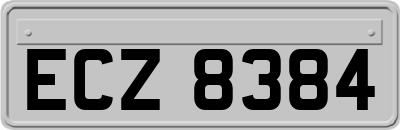 ECZ8384