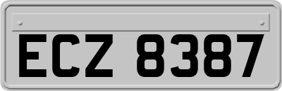 ECZ8387