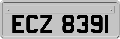 ECZ8391