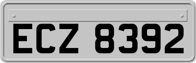 ECZ8392