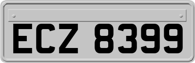 ECZ8399