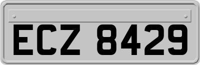 ECZ8429