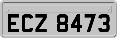 ECZ8473