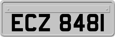 ECZ8481