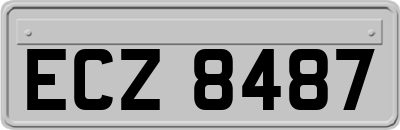 ECZ8487