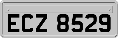 ECZ8529