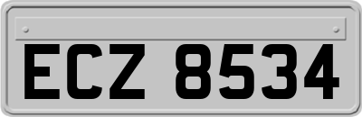 ECZ8534