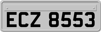 ECZ8553