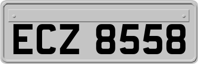 ECZ8558