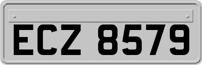 ECZ8579