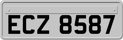ECZ8587