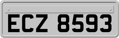 ECZ8593