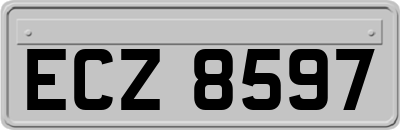 ECZ8597