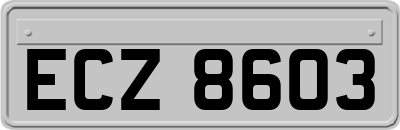 ECZ8603