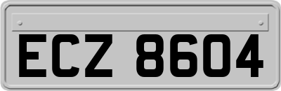 ECZ8604