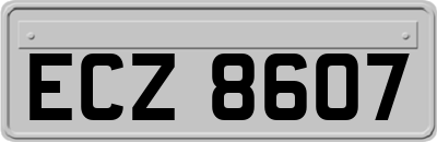 ECZ8607