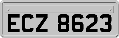 ECZ8623