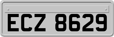 ECZ8629