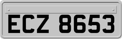 ECZ8653