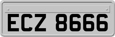 ECZ8666