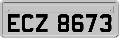 ECZ8673